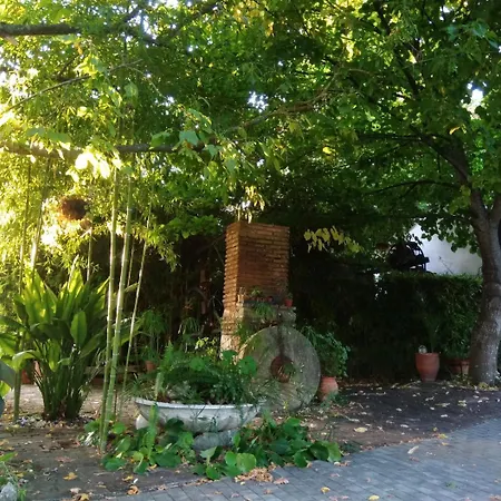 Casa Do Patriarca Bed and Breakfast Vila Nova da Barquinha